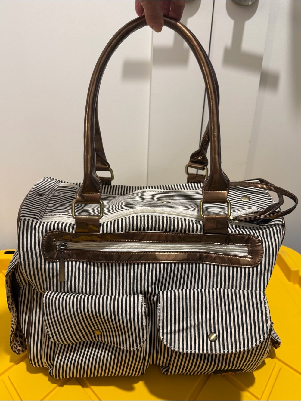 Kenox Striped Small Dog Carrier Handbag Tote with Brown Trim